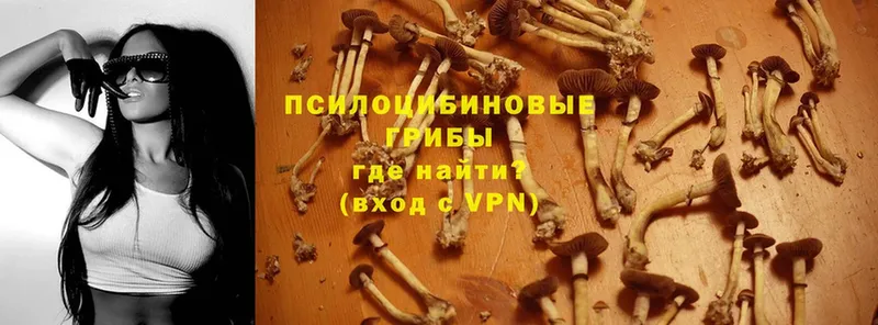 Псилоцибиновые грибы Magic Shrooms Горбатов